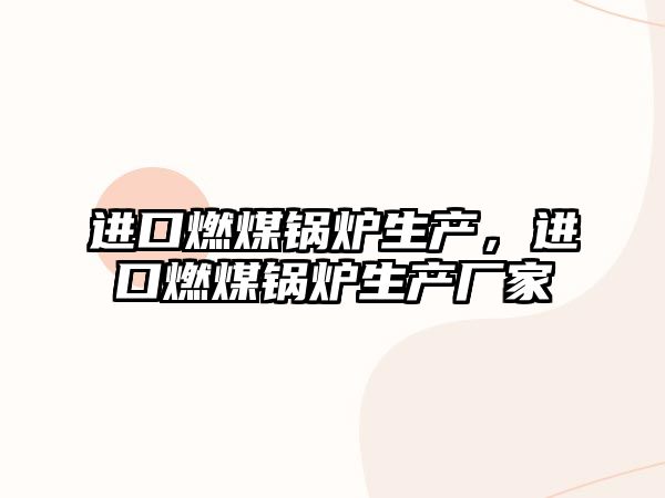 進口燃煤鍋爐生產，進口燃煤鍋爐生產廠家