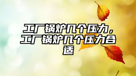 工廠鍋爐幾個壓力，工廠鍋爐幾個壓力合適