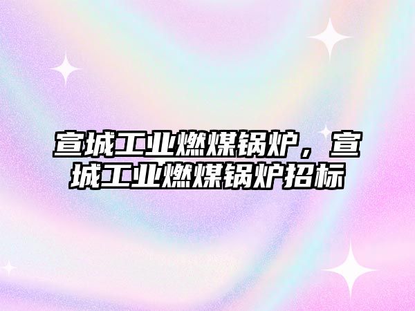宣城工業(yè)燃煤鍋爐，宣城工業(yè)燃煤鍋爐招標(biāo)