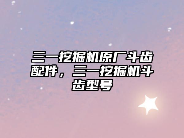 三一挖掘機(jī)原廠斗齒配件，三一挖掘機(jī)斗齒型號(hào)