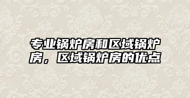 專業(yè)鍋爐房和區(qū)域鍋爐房，區(qū)域鍋爐房的優(yōu)點