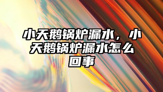小天鵝鍋爐漏水，小天鵝鍋爐漏水怎么回事