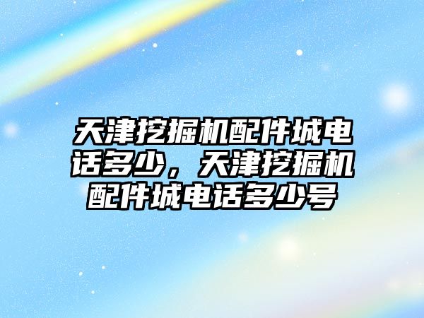 天津挖掘機配件城電話多少，天津挖掘機配件城電話多少號