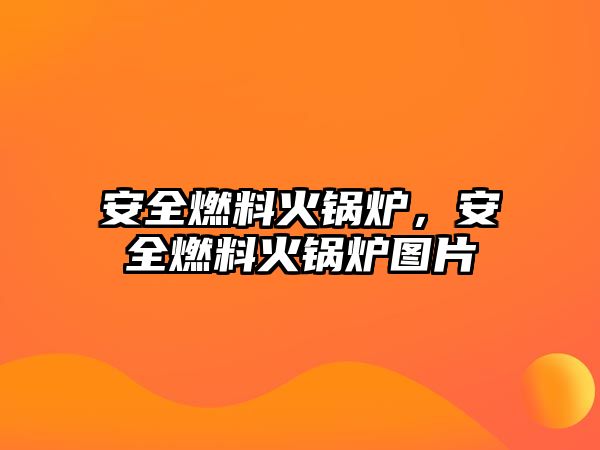 安全燃料火鍋爐，安全燃料火鍋爐圖片