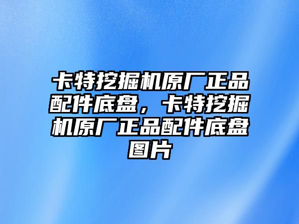 卡特挖掘機原廠正品配件底盤，卡特挖掘機原廠正品配件底盤圖片