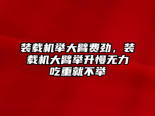 裝載機(jī)舉大臂費(fèi)勁，裝載機(jī)大臂舉升慢無(wú)力吃重就不舉
