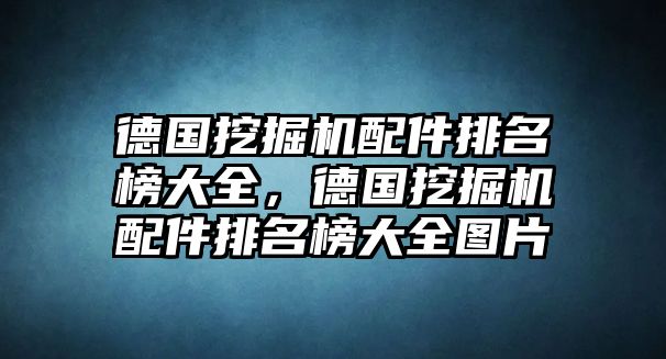 德國挖掘機(jī)配件排名榜大全，德國挖掘機(jī)配件排名榜大全圖片