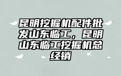 昆明挖掘機(jī)配件批發(fā)山東臨工，昆明山東臨工挖掘機(jī)總經(jīng)銷(xiāo)