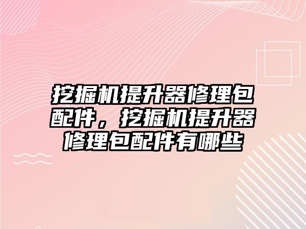 挖掘機提升器修理包配件，挖掘機提升器修理包配件有哪些