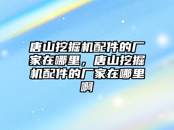 唐山挖掘機(jī)配件的廠家在哪里，唐山挖掘機(jī)配件的廠家在哪里啊