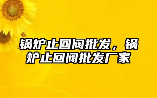 鍋爐止回閥批發(fā)，鍋爐止回閥批發(fā)廠家