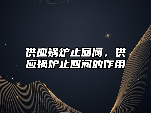 供應(yīng)鍋爐止回閥，供應(yīng)鍋爐止回閥的作用