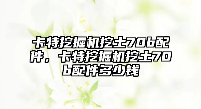 卡特挖掘機(jī)挖土70b配件，卡特挖掘機(jī)挖土70b配件多少錢(qián)