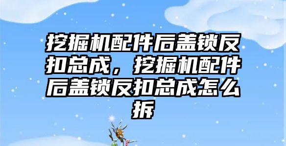 挖掘機(jī)配件后蓋鎖反扣總成，挖掘機(jī)配件后蓋鎖反扣總成怎么拆