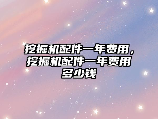 挖掘機配件一年費用，挖掘機配件一年費用多少錢