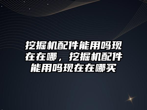 挖掘機(jī)配件能用嗎現(xiàn)在在哪，挖掘機(jī)配件能用嗎現(xiàn)在在哪買