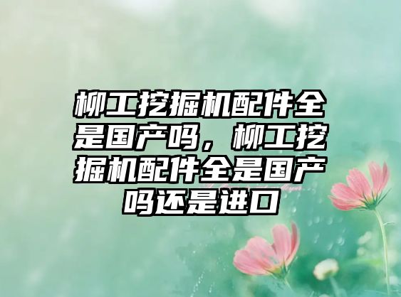 柳工挖掘機(jī)配件全是國(guó)產(chǎn)嗎，柳工挖掘機(jī)配件全是國(guó)產(chǎn)嗎還是進(jìn)口