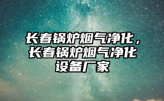 長(zhǎng)春鍋爐煙氣凈化，長(zhǎng)春鍋爐煙氣凈化設(shè)備廠家