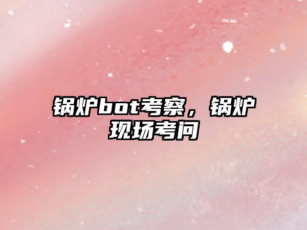 鍋爐bot考察，鍋爐現(xiàn)場考問