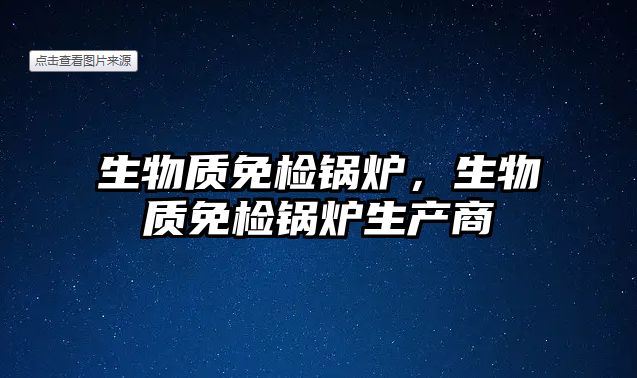 生物質(zhì)免檢鍋爐，生物質(zhì)免檢鍋爐生產(chǎn)商