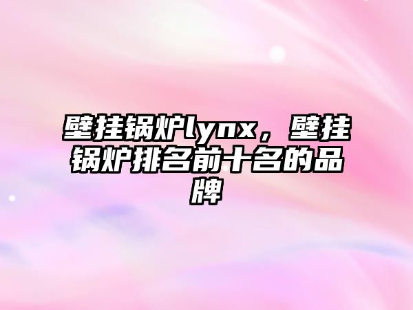 壁掛鍋爐lynx，壁掛鍋爐排名前十名的品牌