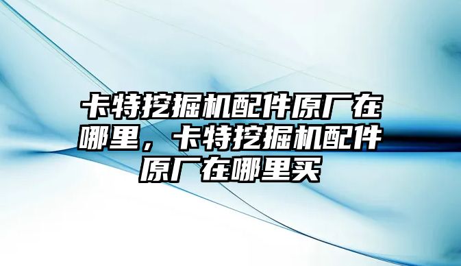 卡特挖掘機(jī)配件原廠在哪里，卡特挖掘機(jī)配件原廠在哪里買