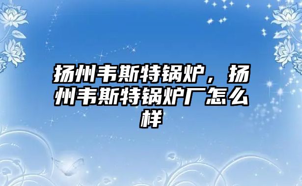 揚(yáng)州韋斯特鍋爐，揚(yáng)州韋斯特鍋爐廠怎么樣