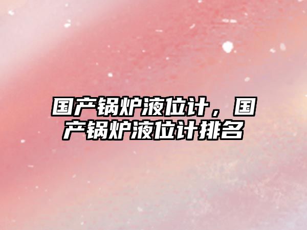 國(guó)產(chǎn)鍋爐液位計(jì)，國(guó)產(chǎn)鍋爐液位計(jì)排名