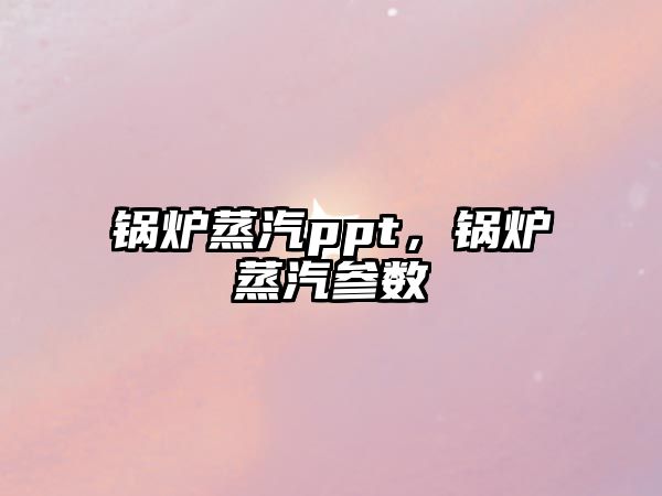 鍋爐蒸汽ppt，鍋爐蒸汽參數(shù)