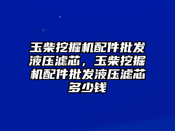 玉柴挖掘機配件批發(fā)液壓濾芯，玉柴挖掘機配件批發(fā)液壓濾芯多少錢