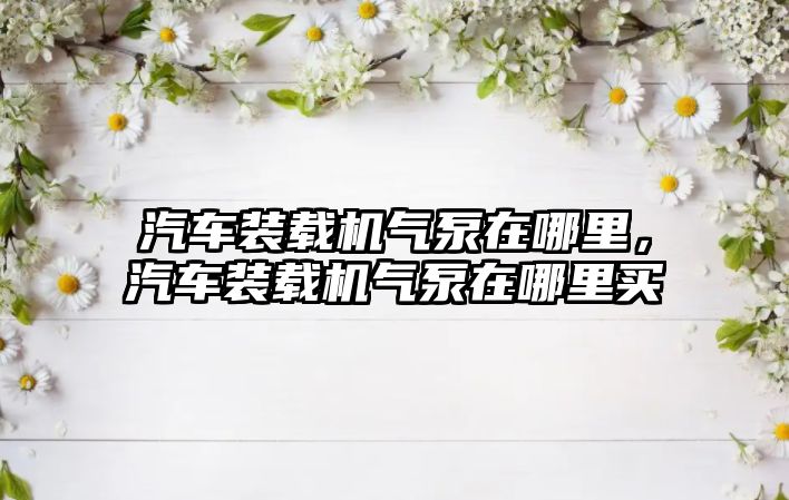 汽車裝載機(jī)氣泵在哪里，汽車裝載機(jī)氣泵在哪里買