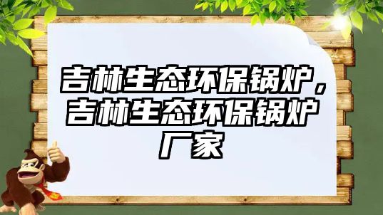 吉林生態(tài)環(huán)保鍋爐，吉林生態(tài)環(huán)保鍋爐廠家