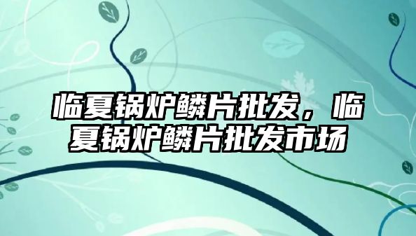 臨夏鍋爐鱗片批發(fā)，臨夏鍋爐鱗片批發(fā)市場
