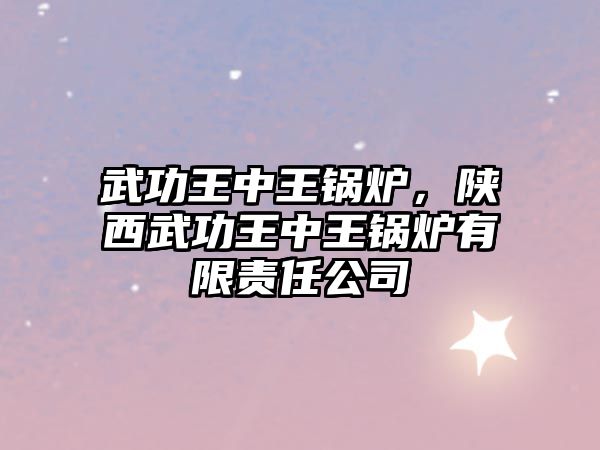 武功王中王鍋爐，陜西武功王中王鍋爐有限責(zé)任公司