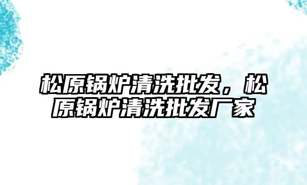 松原鍋爐清洗批發(fā)，松原鍋爐清洗批發(fā)廠家