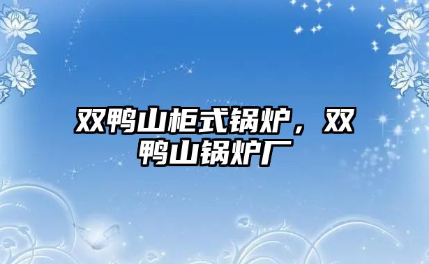 雙鴨山柜式鍋爐，雙鴨山鍋爐廠