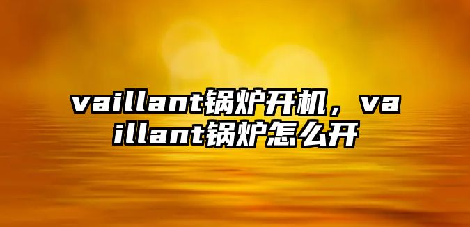 vaillant鍋爐開機，vaillant鍋爐怎么開