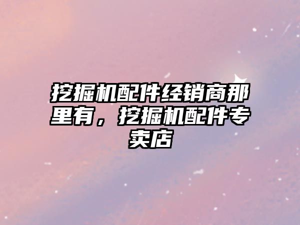挖掘機配件經(jīng)銷商那里有，挖掘機配件專賣店