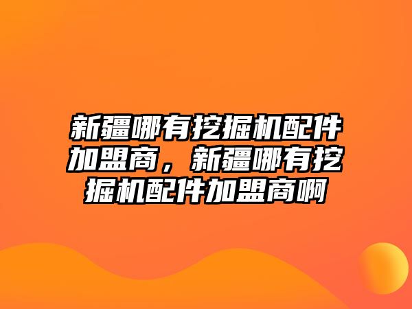新疆哪有挖掘機(jī)配件加盟商，新疆哪有挖掘機(jī)配件加盟商啊