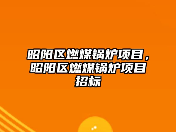 昭陽區(qū)燃煤鍋爐項目，昭陽區(qū)燃煤鍋爐項目招標
