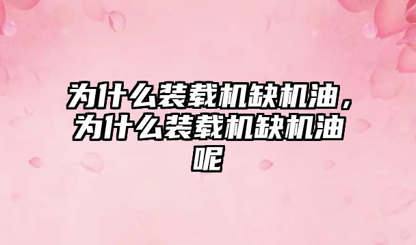 為什么裝載機(jī)缺機(jī)油，為什么裝載機(jī)缺機(jī)油呢