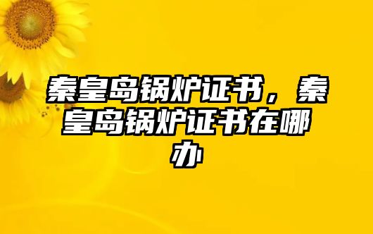 秦皇島鍋爐證書，秦皇島鍋爐證書在哪辦
