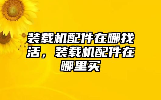 裝載機配件在哪找活，裝載機配件在哪里買