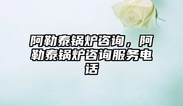阿勒泰鍋爐咨詢，阿勒泰鍋爐咨詢服務電話