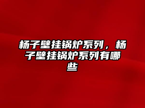楊子壁掛鍋爐系列，楊子壁掛鍋爐系列有哪些