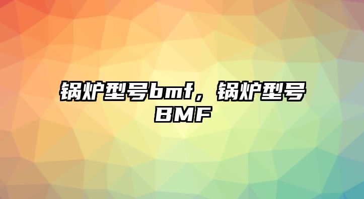 鍋爐型號bmf，鍋爐型號BMF