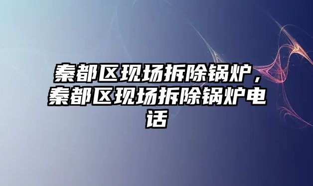 秦都區(qū)現(xiàn)場(chǎng)拆除鍋爐，秦都區(qū)現(xiàn)場(chǎng)拆除鍋爐電話