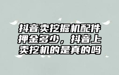 抖音賣(mài)挖掘機(jī)配件押金多少，抖音上賣(mài)挖機(jī)的是真的嗎