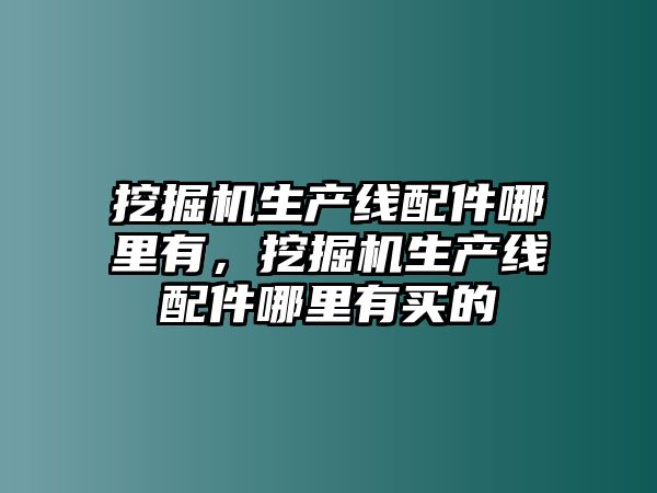 挖掘機生產(chǎn)線配件哪里有，挖掘機生產(chǎn)線配件哪里有買的