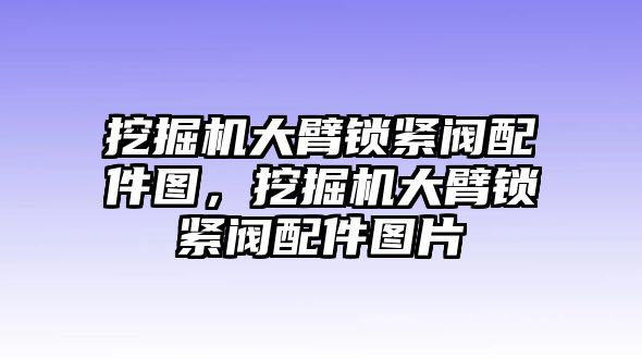 挖掘機(jī)大臂鎖緊閥配件圖，挖掘機(jī)大臂鎖緊閥配件圖片